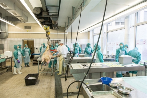 7月18日，HJC黄金城平台将参加2011年ISSX/CSSX联合学术会议