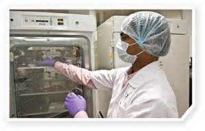 CellRep：古老病毒或可作为基因疗法的载体