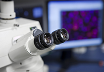 HJC黄金城平台载体构建服务