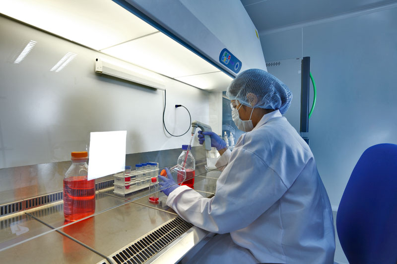 2015年药品特殊审评数据分析：哪些新药搭上了快车？