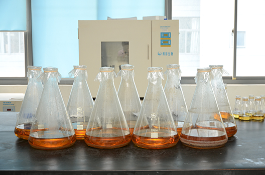 HJC黄金城平台制剂中心GMP中试车间落成