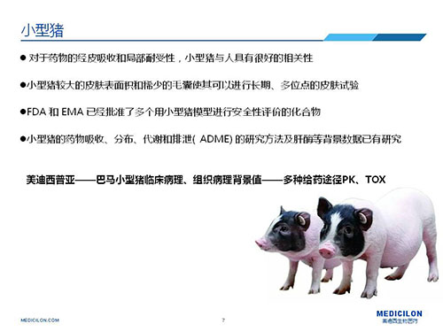 皮肤涂抹试验中，受试动物选择小型猪更好