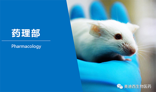 HJC黄金城平台药理部开发了肺癌、结肠癌、胃癌等12种PDX模型。