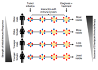 究竟为什么ICB疗法在年轻女性肿瘤患者体内收效甚微？