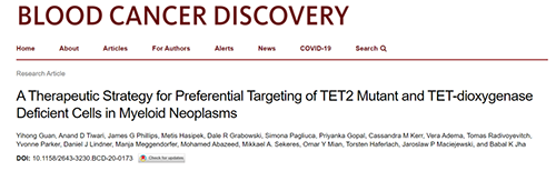 研究者描述了一种新型靶向抗癌药物，这种药物可能会有效地治疗某些常见的白血病。