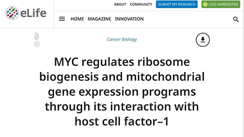 可以“融化”肿瘤的蛋白质，你一定没有听说过！