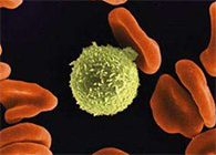 Science子刊：一种FDA批准的抗腹泻药物可有效对抗化疗的耐药性