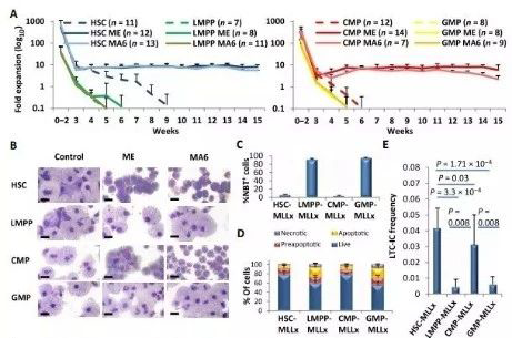 Science子刊：一种FDA批准的抗腹泻药物可有效对抗化疗的耐药性 HJC黄金城平台生物医药