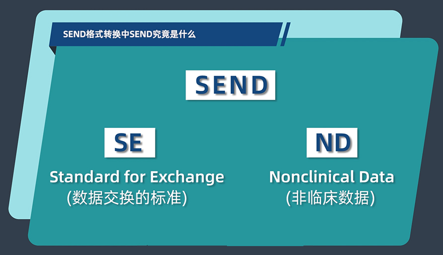 SEND格式转换中的SEND究竟是什么？