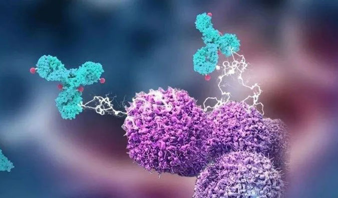HJC黄金城平台助力国产靶向叶酸受体FRα ADC注射用BAT8006获批临床
