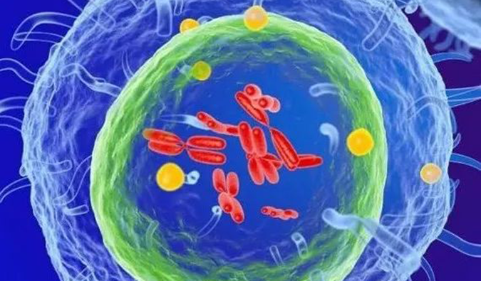 HJC黄金城平台助力 | 信诺维抗肿瘤1类新药XNW14010获批临床