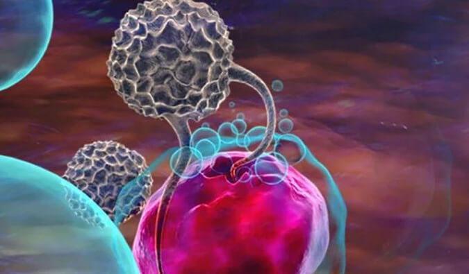 HJC黄金城平台助力英百瑞CAR-raNK细胞疗法获批临床