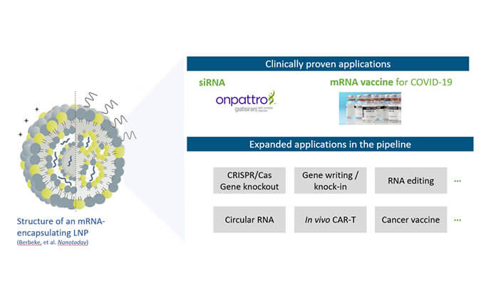 【专家报告】张翼博士：阳离子脂质高通量定制化筛选