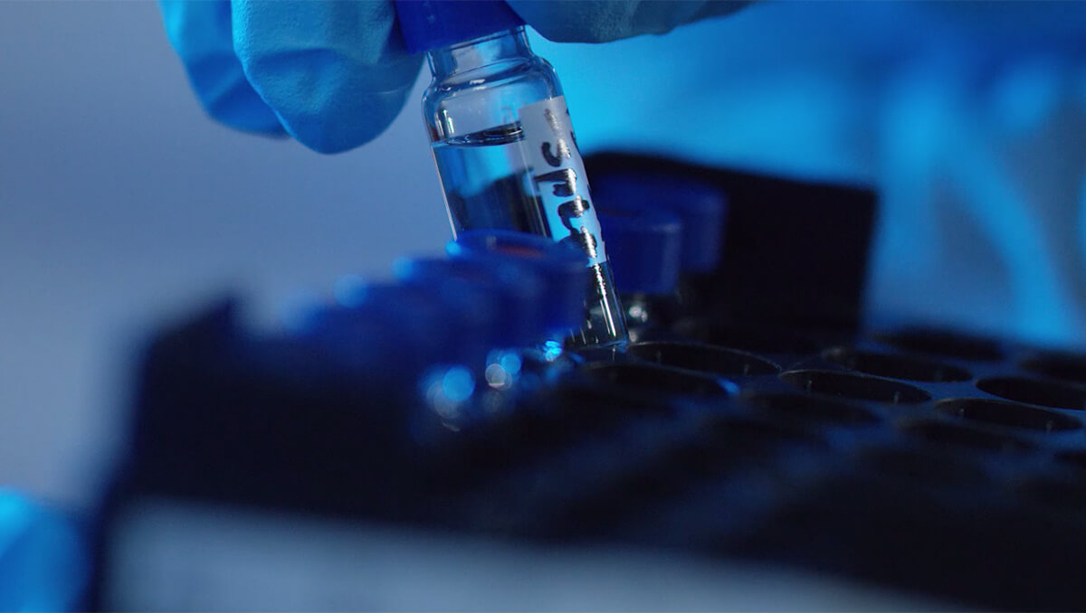 小分子药物发现：医学突破的力量