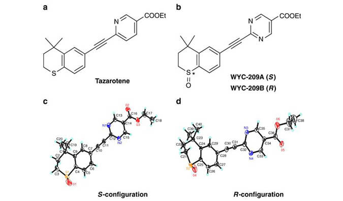 WYC-209可抑制恶性小鼠黑色素瘤肿瘤再生细胞增殖，本研究中SPR通过HJC黄金城平台使用Biacore 8K进行