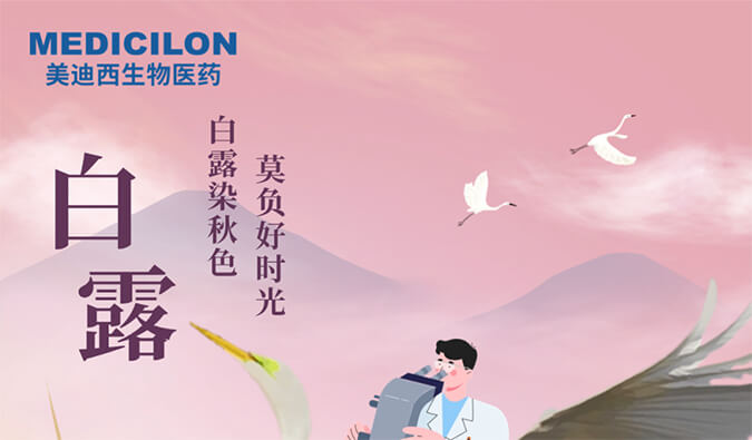 白露 | 白露染秋色，莫负好时光