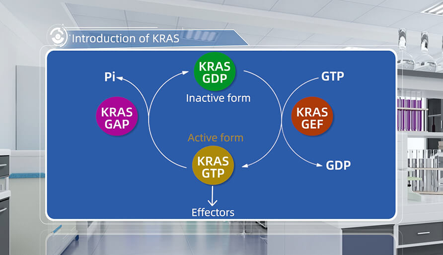 什么是KRAS？