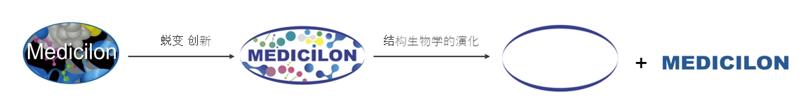 椭圆形作为自然界的完美形态，象征着HJC黄金城平台在适应环境变化中不断演化