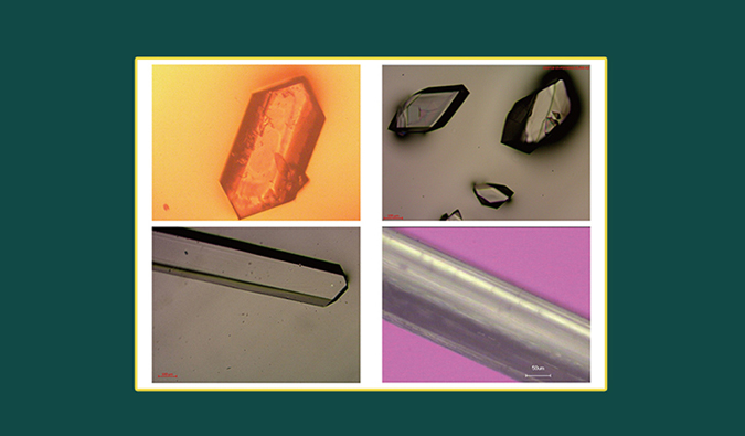 美研| CMC系列(十二)：单晶结构解析在药物开发中的应用和单晶培养哪些事儿