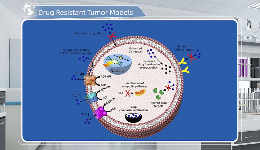 肿瘤耐药机制是什么？