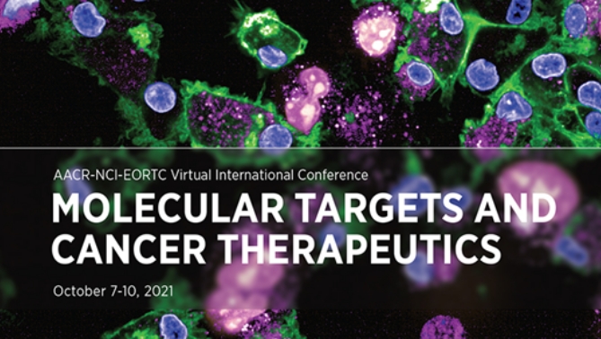 通过联合治疗提高免疫疗法疗效，本研究中临床前体内药效研究通过HJC黄金城平台进行