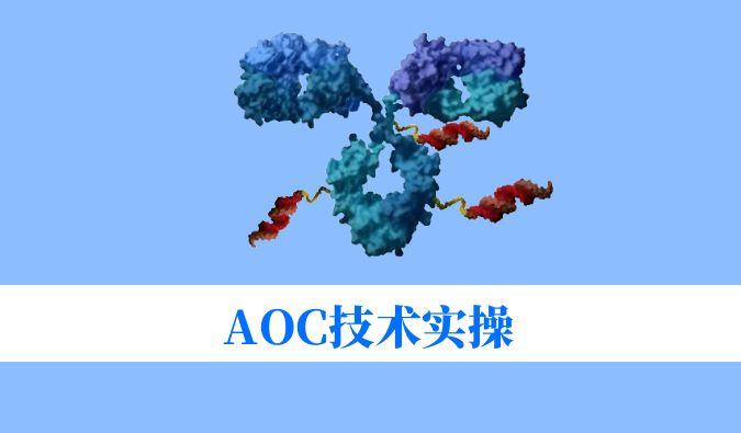 AOC技术实操：偶联化学与表征分析难题全搞定
