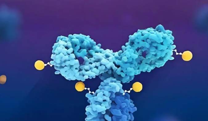 深度剖析：ADC药物生物分析的考量因素