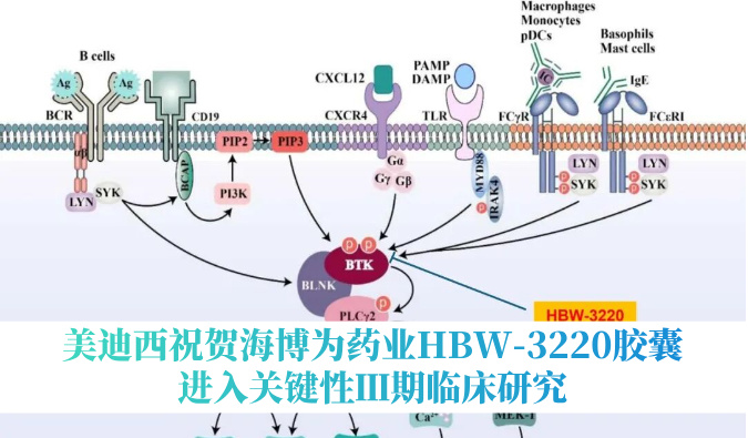 破解耐药性难题，HJC黄金城平台：睾２┪┮礖BW-3220胶囊进入关键性Ⅲ期临床研究